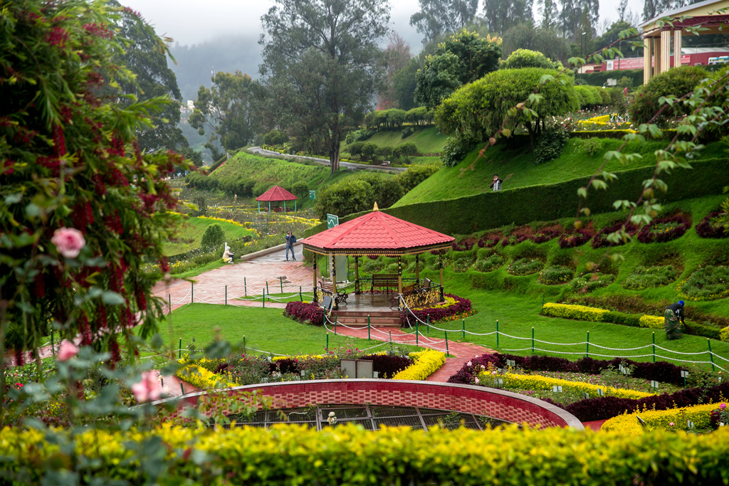 REVIVE AT OOTY AND MYSORE 