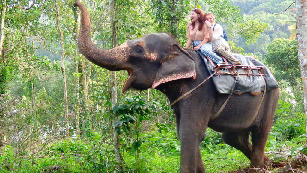 4NT & 5DYS TRESURES OF KERALA PKG