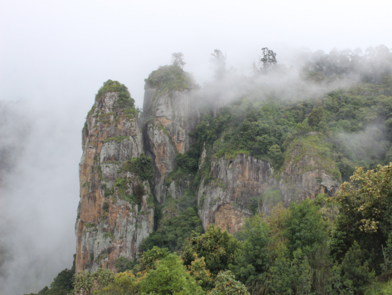 AMAZING  VISIT TO TOP HILL STATIONS OF SOUTH INDIA  