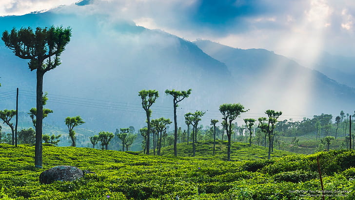 WONDER OF ASIA - SRI LANKA 