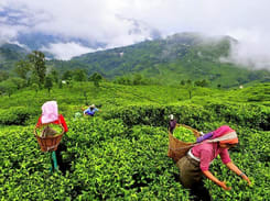 4NT & 5DYS MEMORABLE KERALA PKG