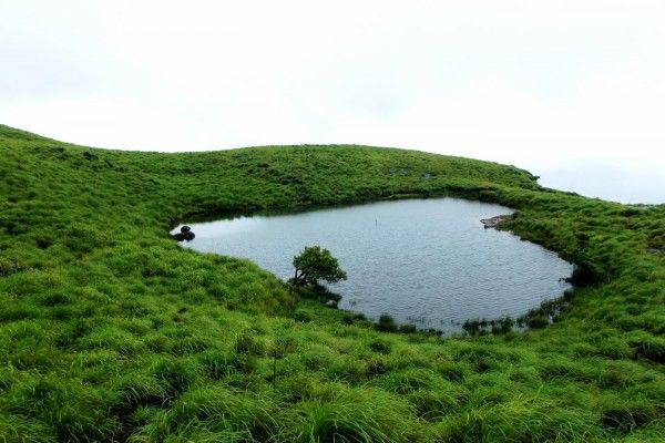 BEST OF PANORAMIC WAYANAD